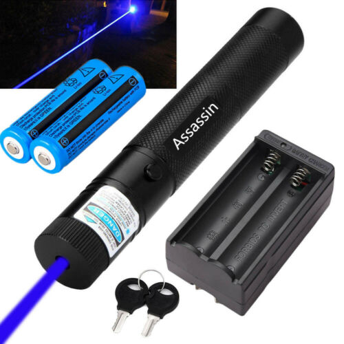 900miles 1mw Blue Purple Laser Pointer Pen 405nm Lazer Beam Light+2 X Batt+char