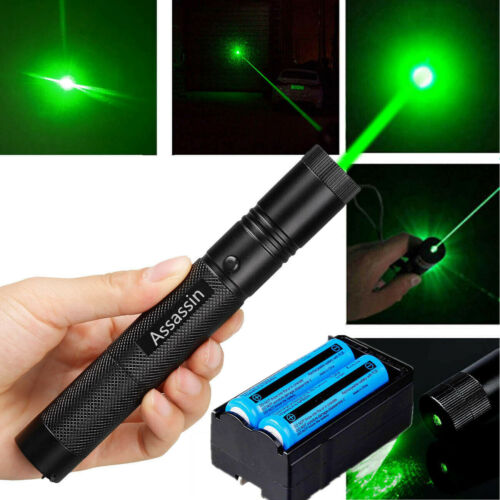 990miles 532nm Green Laser Pointer 1mw Lazer Pen Visible Beam Batt+dual Charger